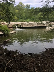 A mulch-covered bank lies before a pool of greenish water. In the distance, a small trickle of water flows from a limestone ledge.